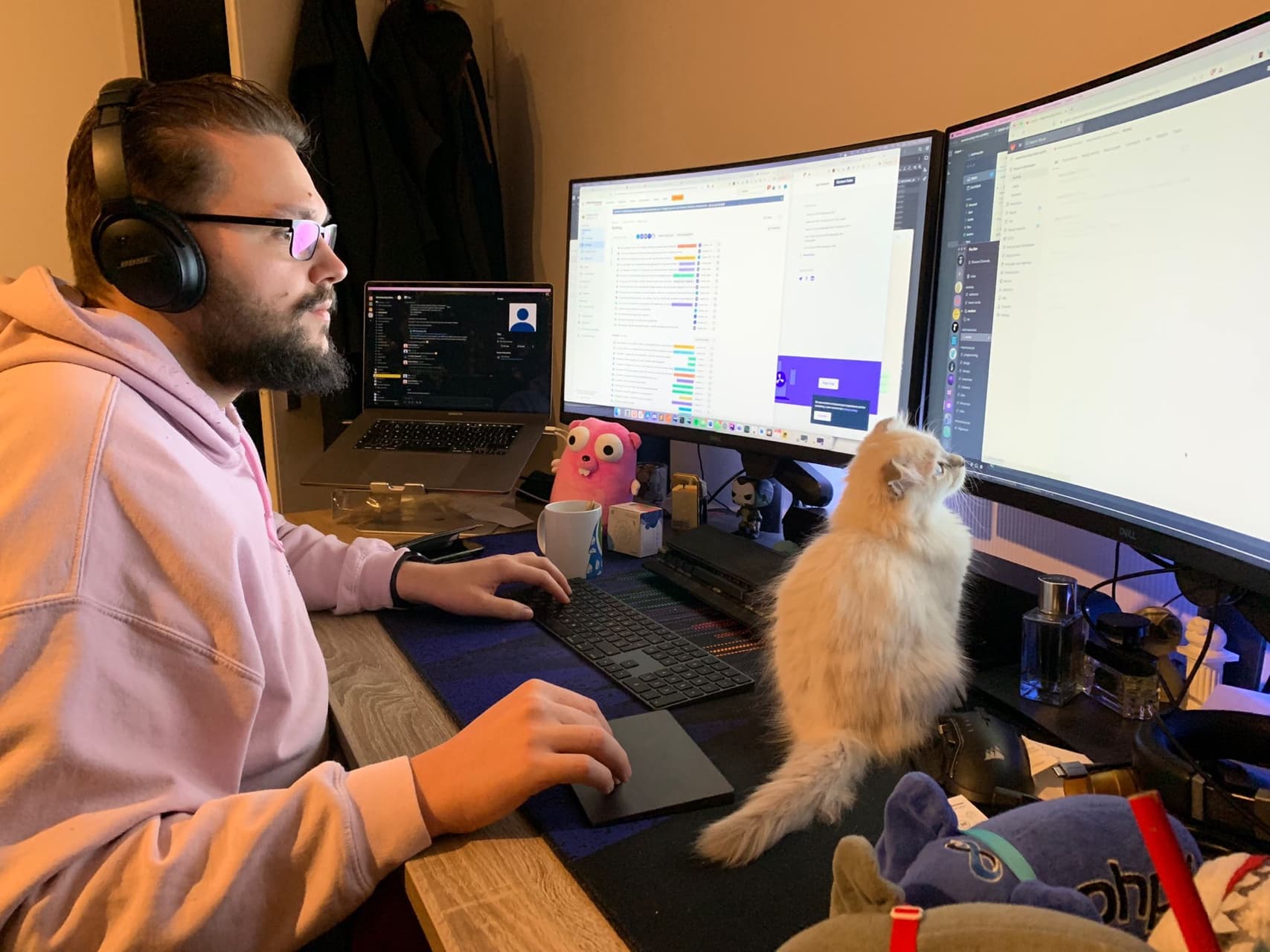 Henny Krijnen aan het werk, met zijn kat op het bureau